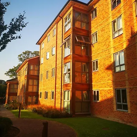 Luxury Two Bedroom In Apartment *